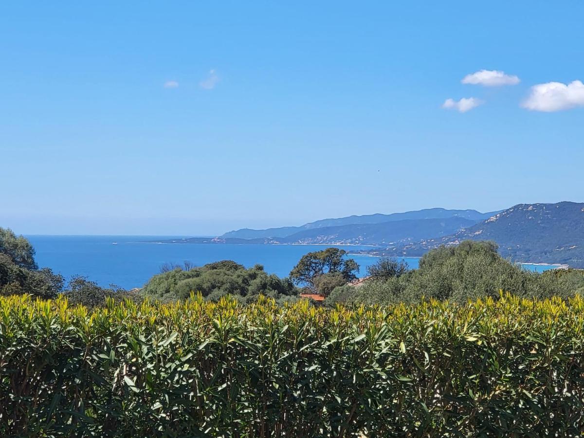 T3 Propriano Vue Mer, Neuf, Climatise Et Classe 4 Etoiles Viggianello Exterior photo