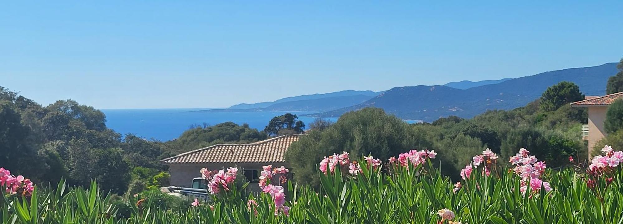 T3 Propriano Vue Mer, Neuf, Climatise Et Classe 4 Etoiles Viggianello Exterior photo